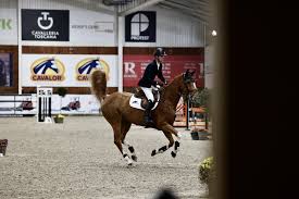 Azelhof Horse Events